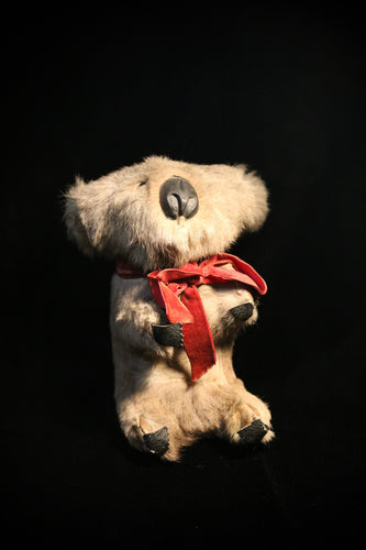 Antique early 1900s stuffed koala bear